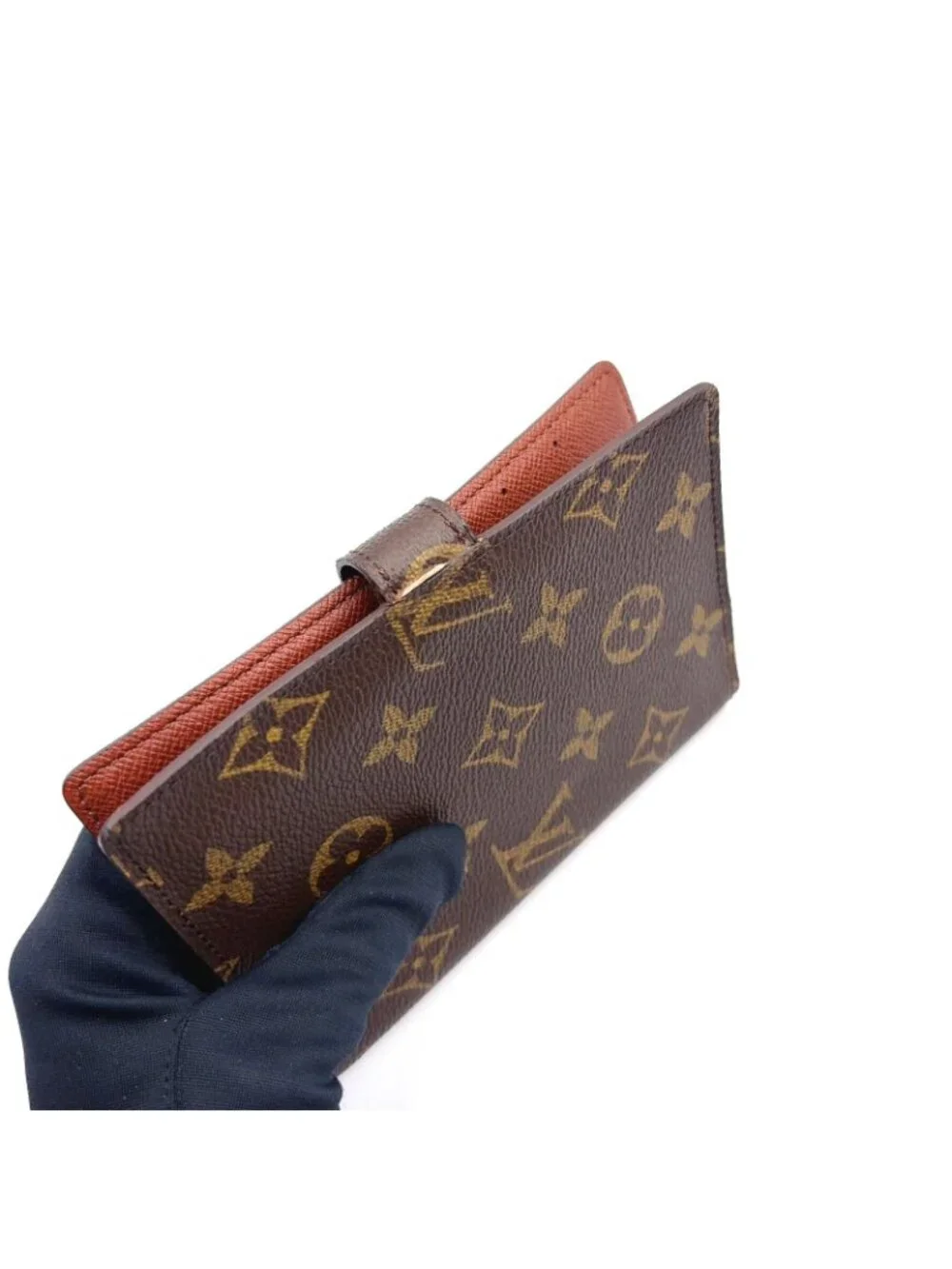 Louis Vuitton brand louis